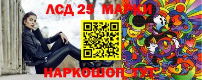 шишки Лесосибирск