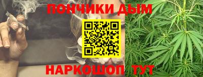 шишки Лесосибирск